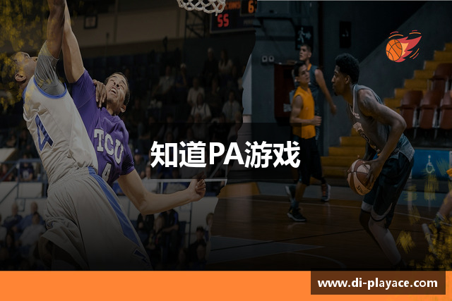 知道PA游戏